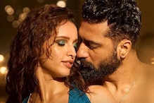 Bad Newz Review: Vicky Kaushal Single-Handedly Tries to Save the Show, Triptii Dimri Underwhelms